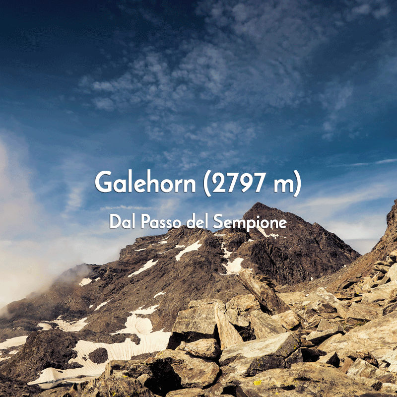 Galehorn